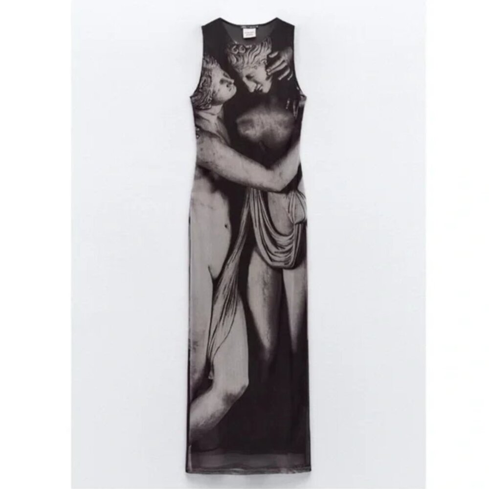 Zara Printed Tulle Dress